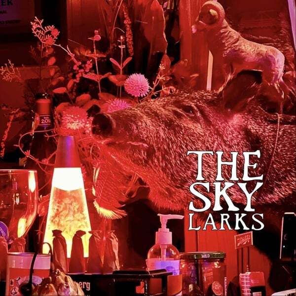 Cover art for Last Grass